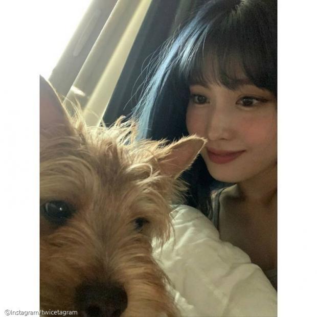 ⓒ노트펫