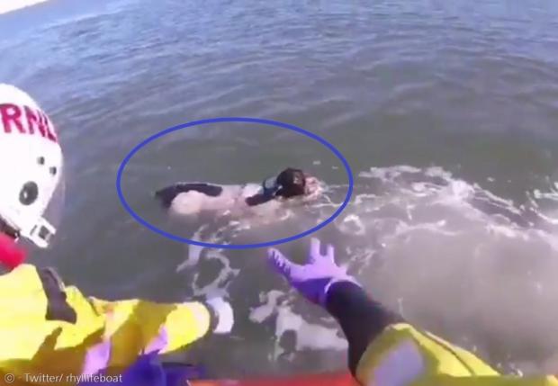 갈매기를 쫓아서 먼 바다로 헤엄친 코커스패니얼 반려견(파란 원)이 보호자의 신고로 인명구조선에 구조됐다.