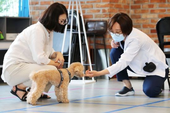 사진 성동구