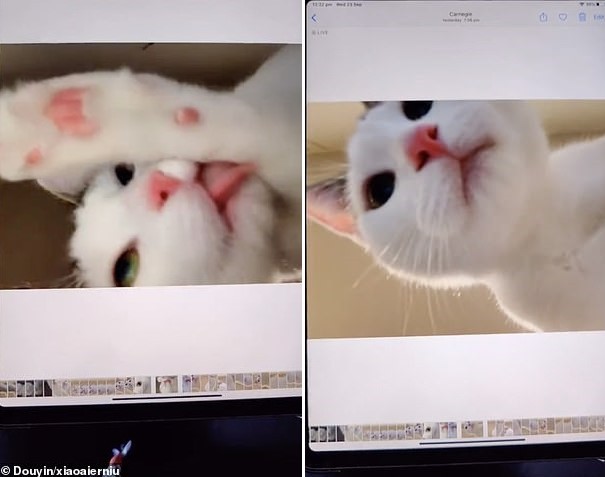 얼니우가 셀카 수십 장을 찍다보니, 굴욕사진과 묘생사진을 함께 남겼다. 
