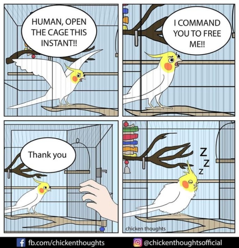 batch_10.jpg
