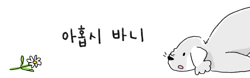 아홉시바니