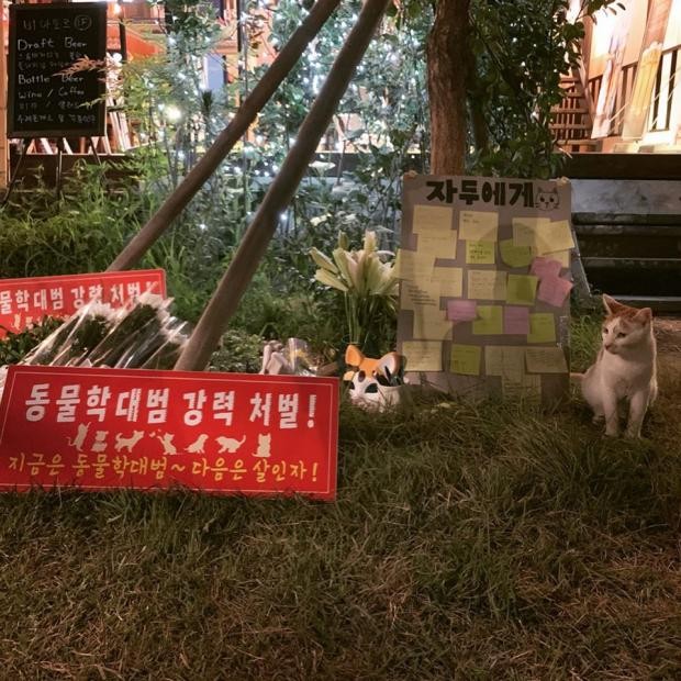 지난해 7월 가게 앞에서 잠자다 죽임을 당한 고양이 자두를 추모하는 모습. 이 사건은 동물보호법 역사에서 가해자가 실형을 선고받고 수감되는 첫 사례가 됐다.  