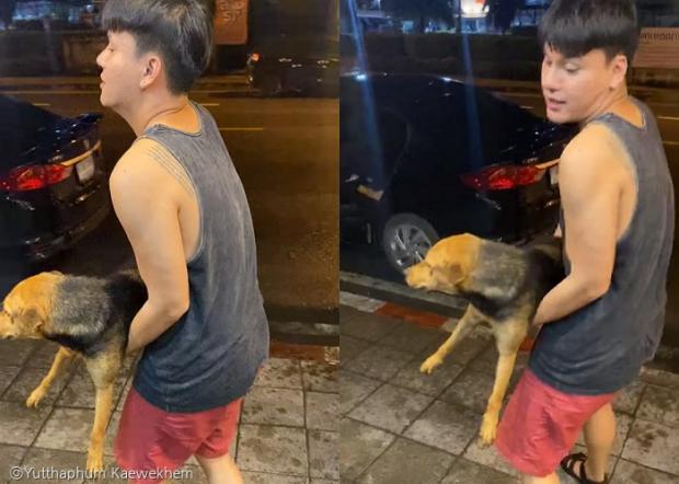 술 취해 떠돌이개를 데려가려는 카에웨켐(by.절친)