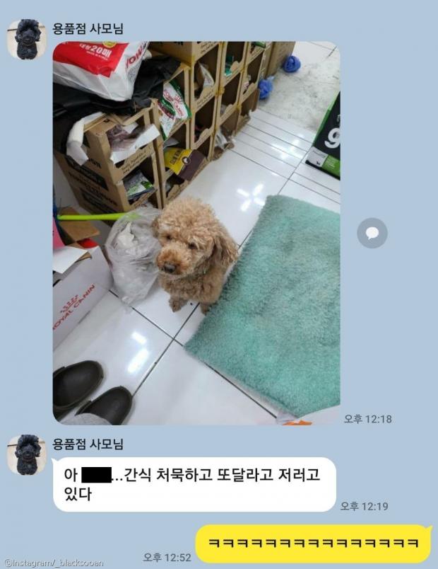 ⓒ노트펫