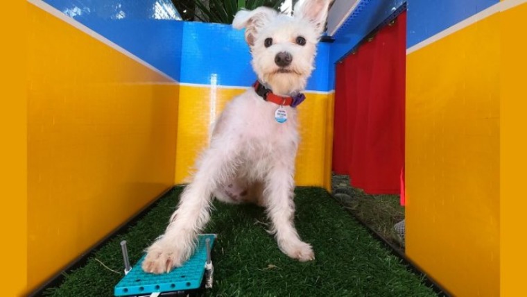 batch_08.jpg