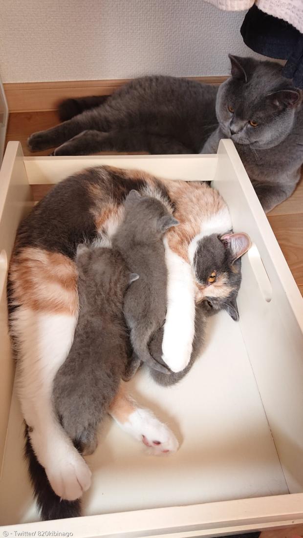 육아에 지친 아빠와 엄마.