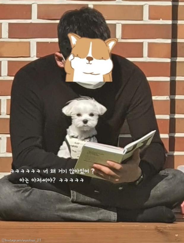 ⓒ노트펫