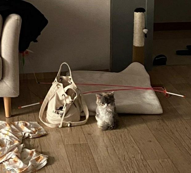 ㄹㄹㄹ