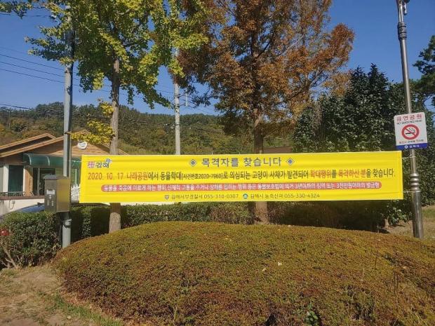 SNS, 김해동네고양이협회 