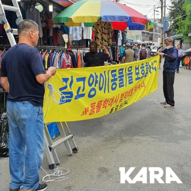 ⓒ노트펫