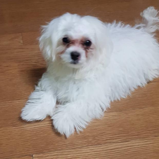 ㅇ