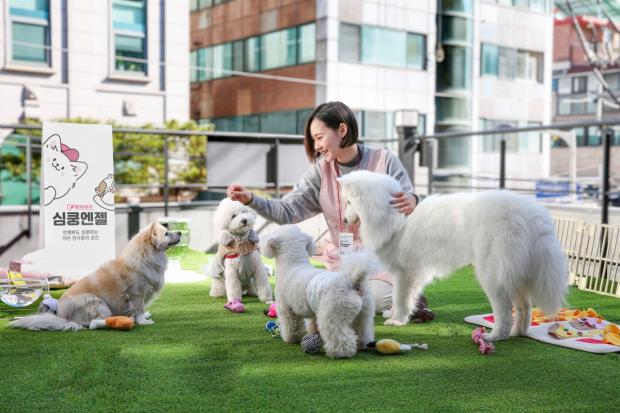 사진 펫프렌즈