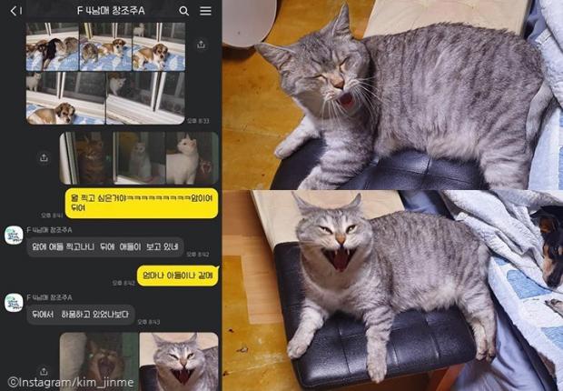 ⓒ노트펫