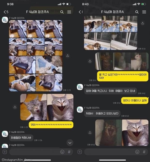 ⓒ노트펫