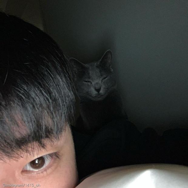 ⓒ노트펫