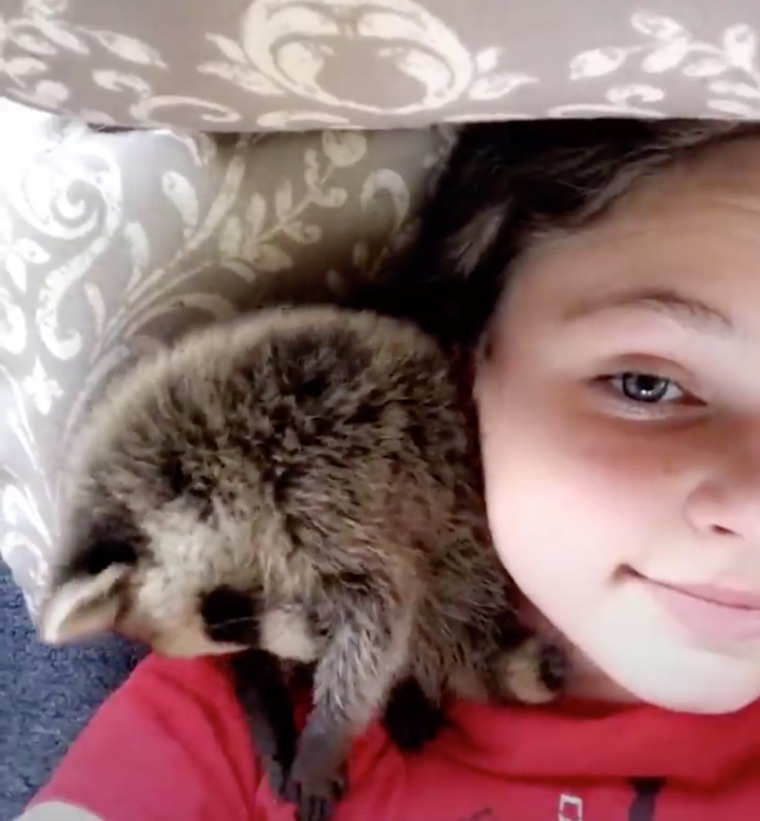 batch_03.jpg