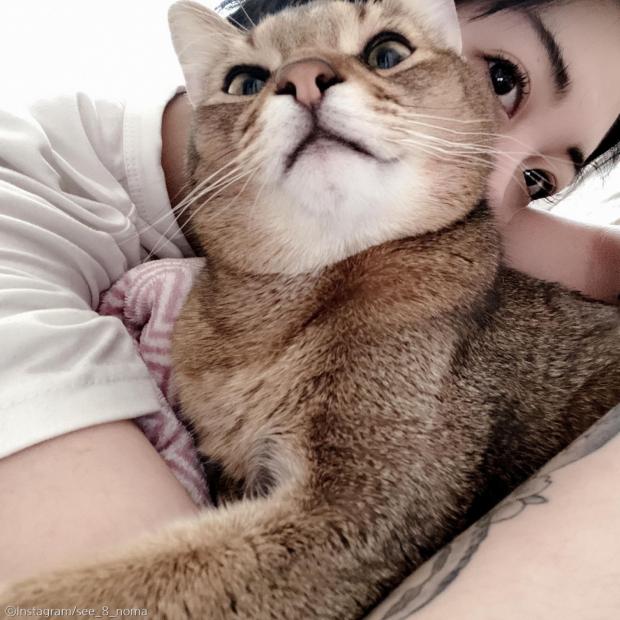 ⓒ노트펫