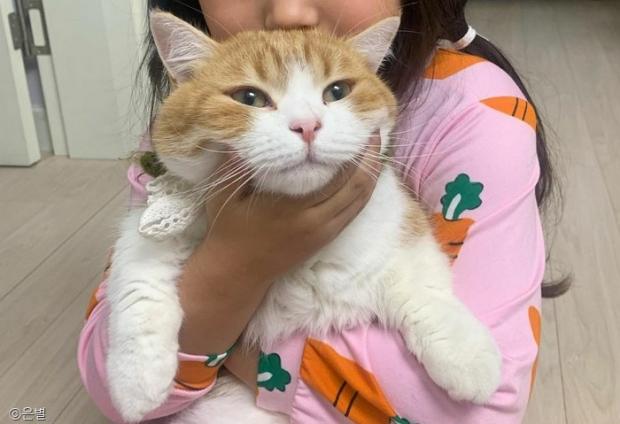 ⓒ노트펫