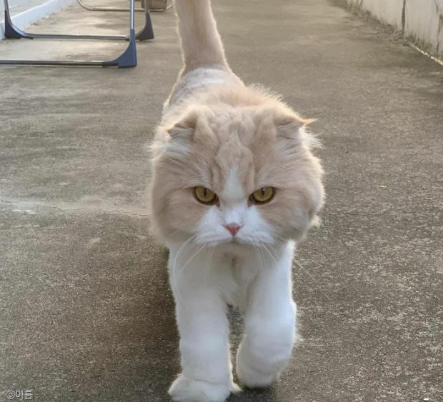 ㅇㅇㅇ