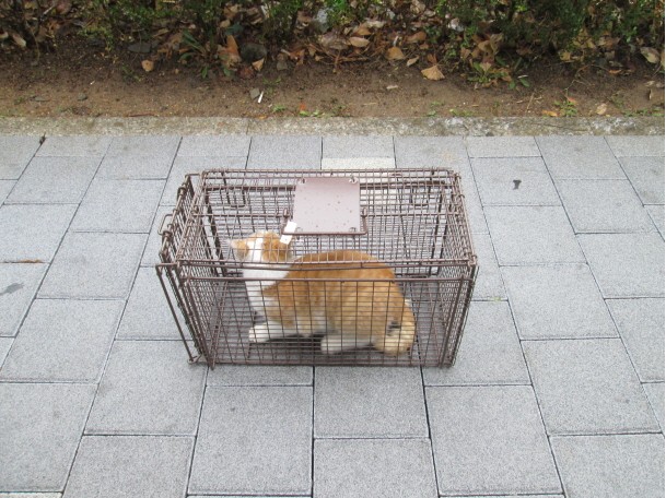 기사 내용과 관련이 없습니다. 