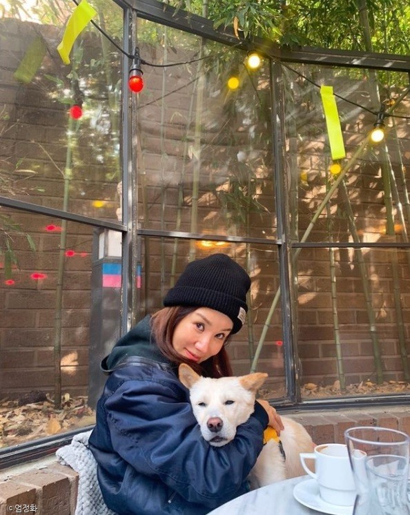 ⓒ노트펫