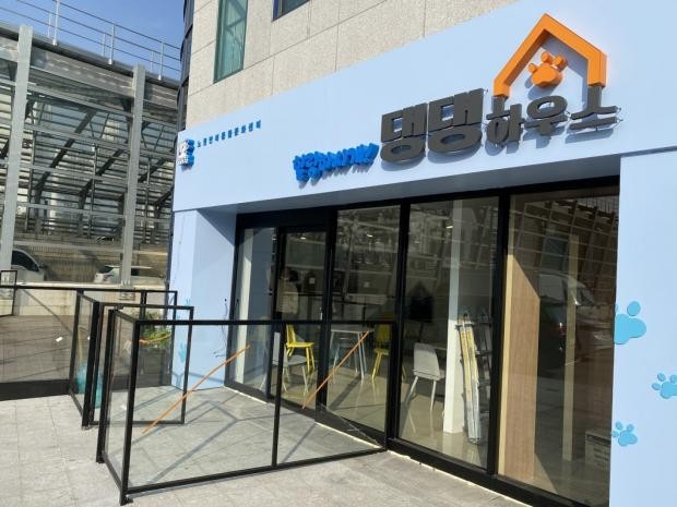 노원구에서 지난달 댕댕하우스를 개관하고 유기동물 입양 업무도 진행하기 시작했다. 