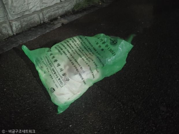 치와와를 담아 버린 대형 쓰레기봉투.