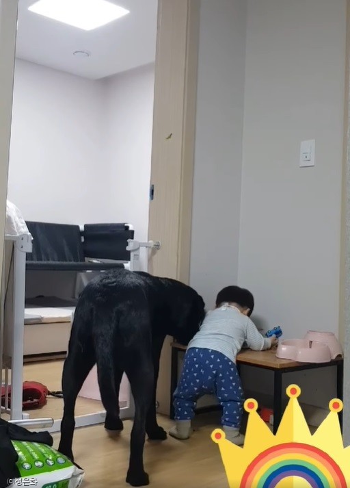 ⓒ노트펫