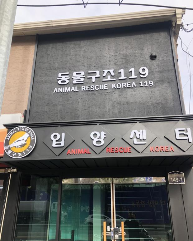 사진 동물구조119