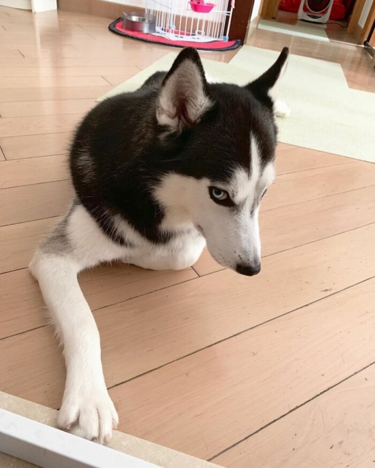 batch_08.jpg