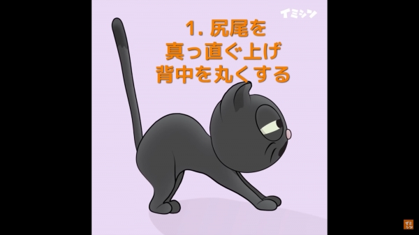 고양이가 꼬리를 쭉 세우면 요주의 상태입니다! 공격 체제에 들어가기 직전인 상태지요!