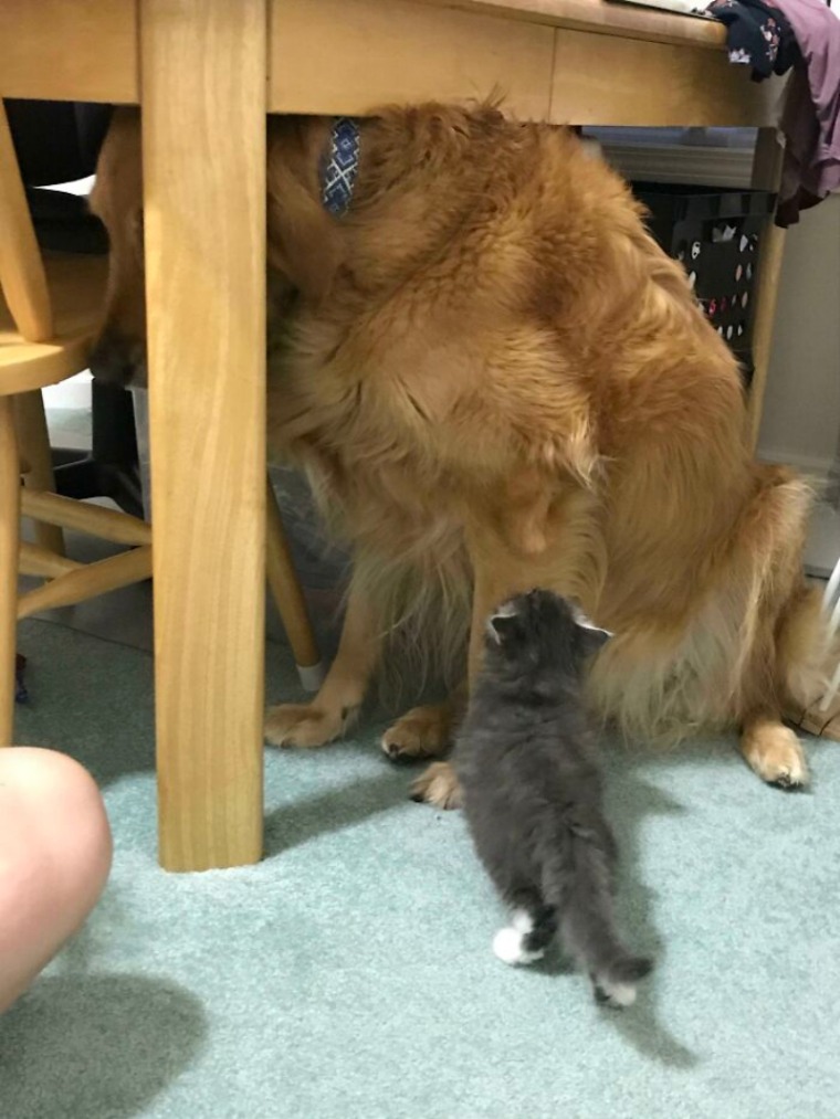 batch_07.jpg