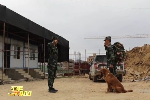 군견 훈련사 자추안(오른쪽)이 후임 훈련사에게 경례를 했다. [출처: 중국 CCTV 갈무리]