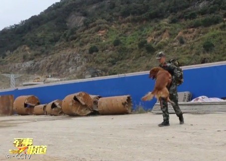 다마오가 새 훈련사에게 벗어나서 자추안의 품에 달려들었다.