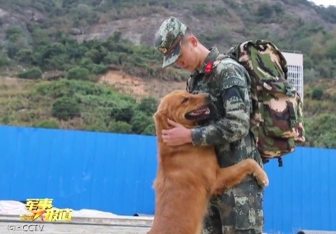다마오가 자추안 훈련사의 품에 꼭 안겨서, 그를 보내는 것을 거부했다. 