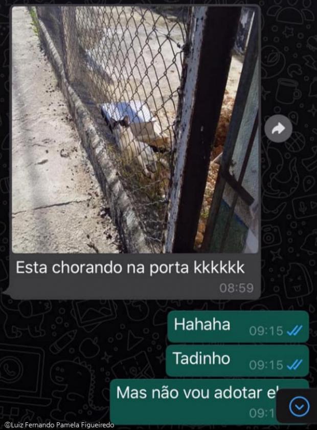 집 안으로 들어가게 해달라고 애절하게 쳐다보는 알프레도.