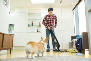 강아지를 어리둥절해 하게 하는 청소기