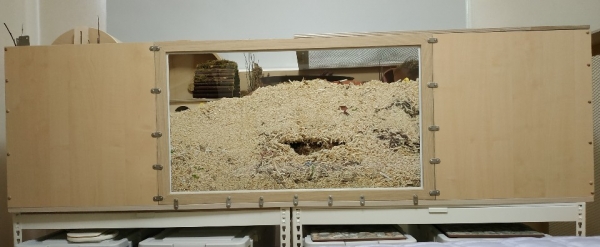 사진 = 베딩 높이 30cm~40cm인 골든 햄스터의 케이지