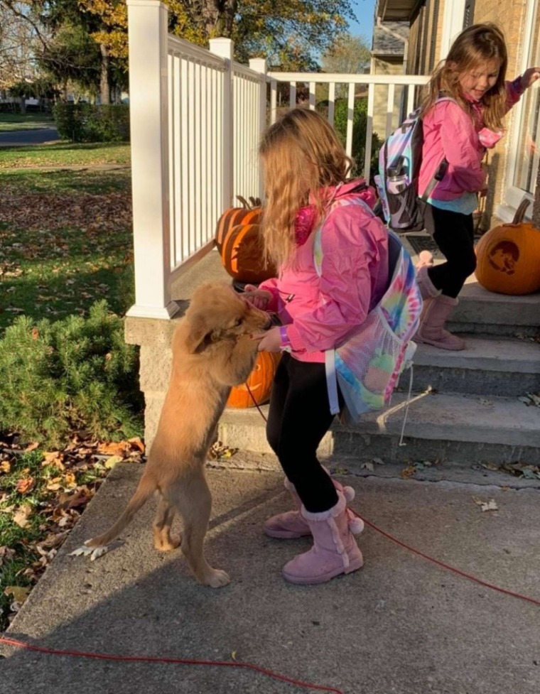 batch_03.jpg