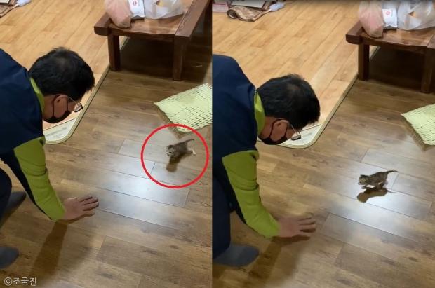 ⓒ노트펫