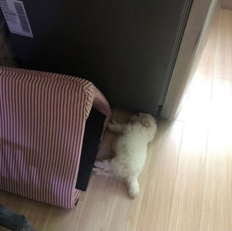 batch_05_자고 일어나서.jpg