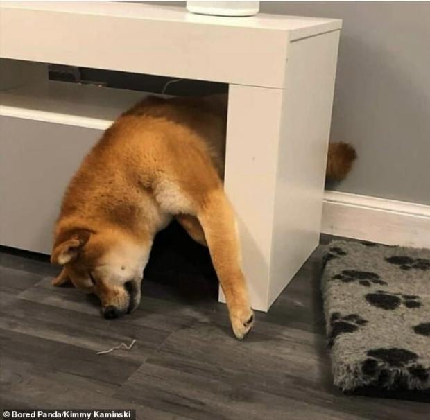 ㅛ