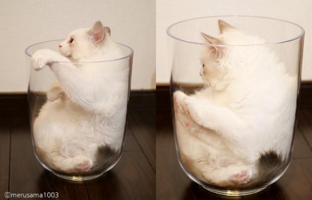서서히 녹아내리기 시작하는 메루.