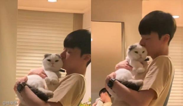 ⓒ노트펫