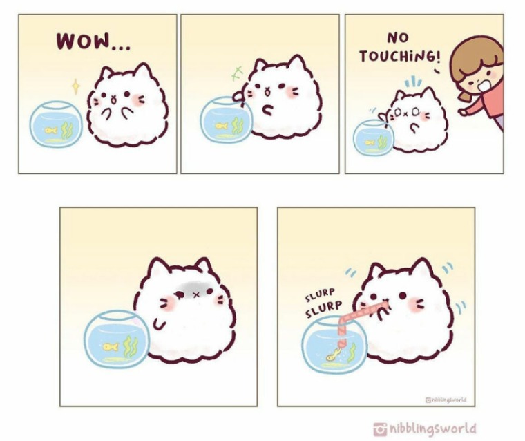 batch_05 냥이의 사고방식.jpg