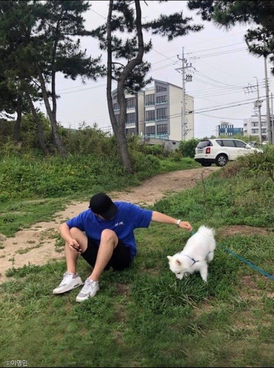 ⓒ노트펫