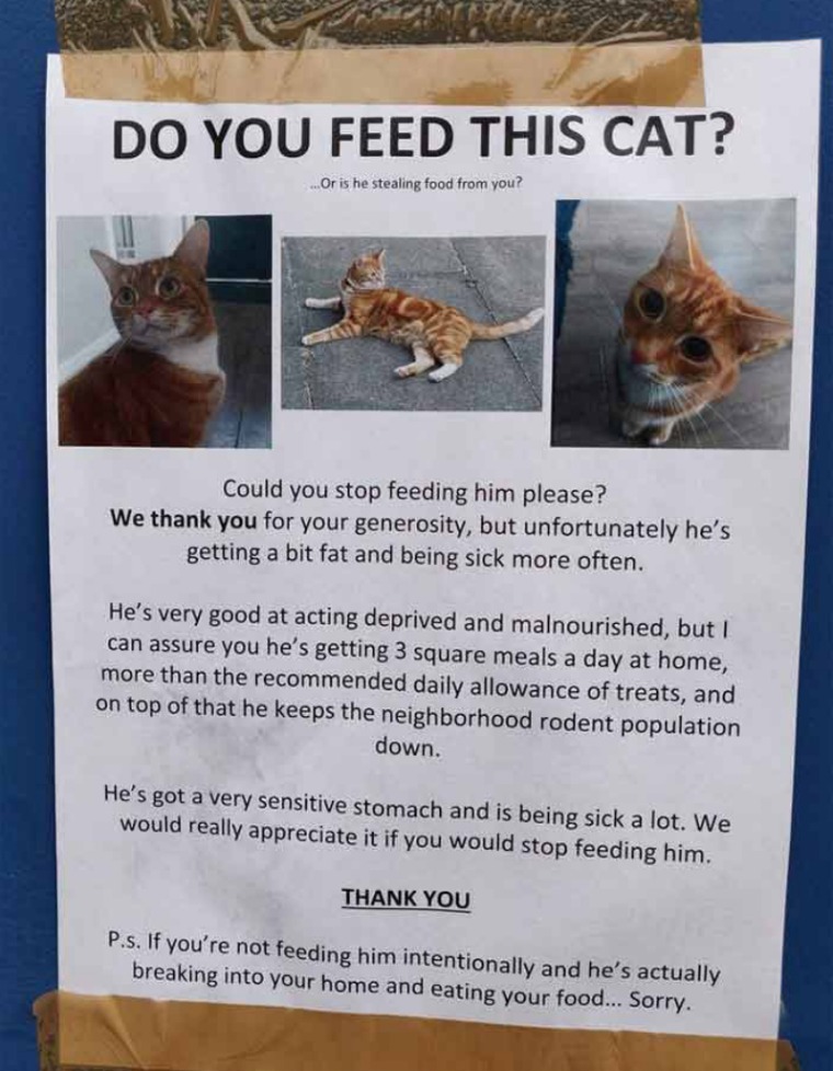 batch_02.jpg