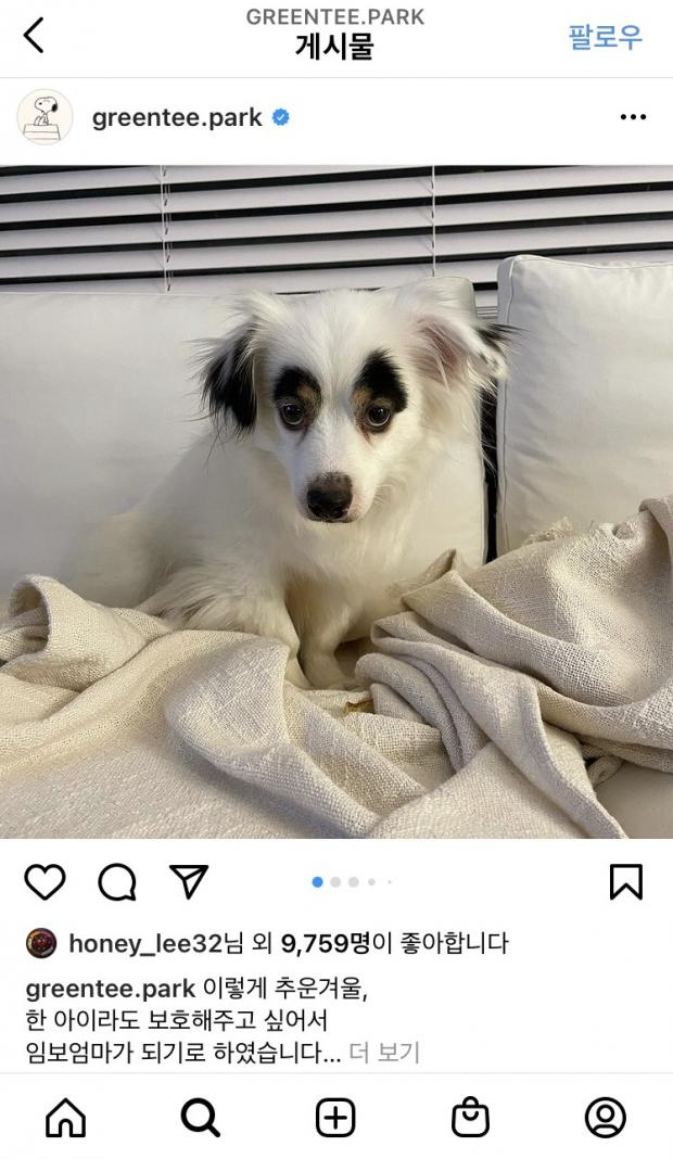 아이비 인스타그램 캡처.