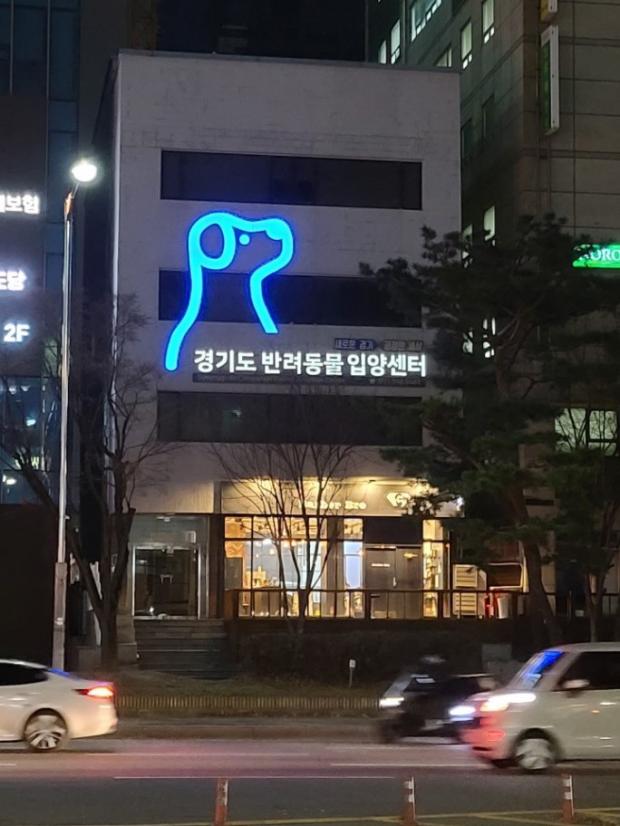 경기도 반려동물 입양센터 모습. 사진 경기도